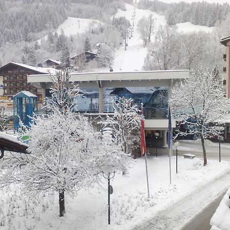 Haus Kleineisen By Chatel Reizen Zell am See Luaran gambar